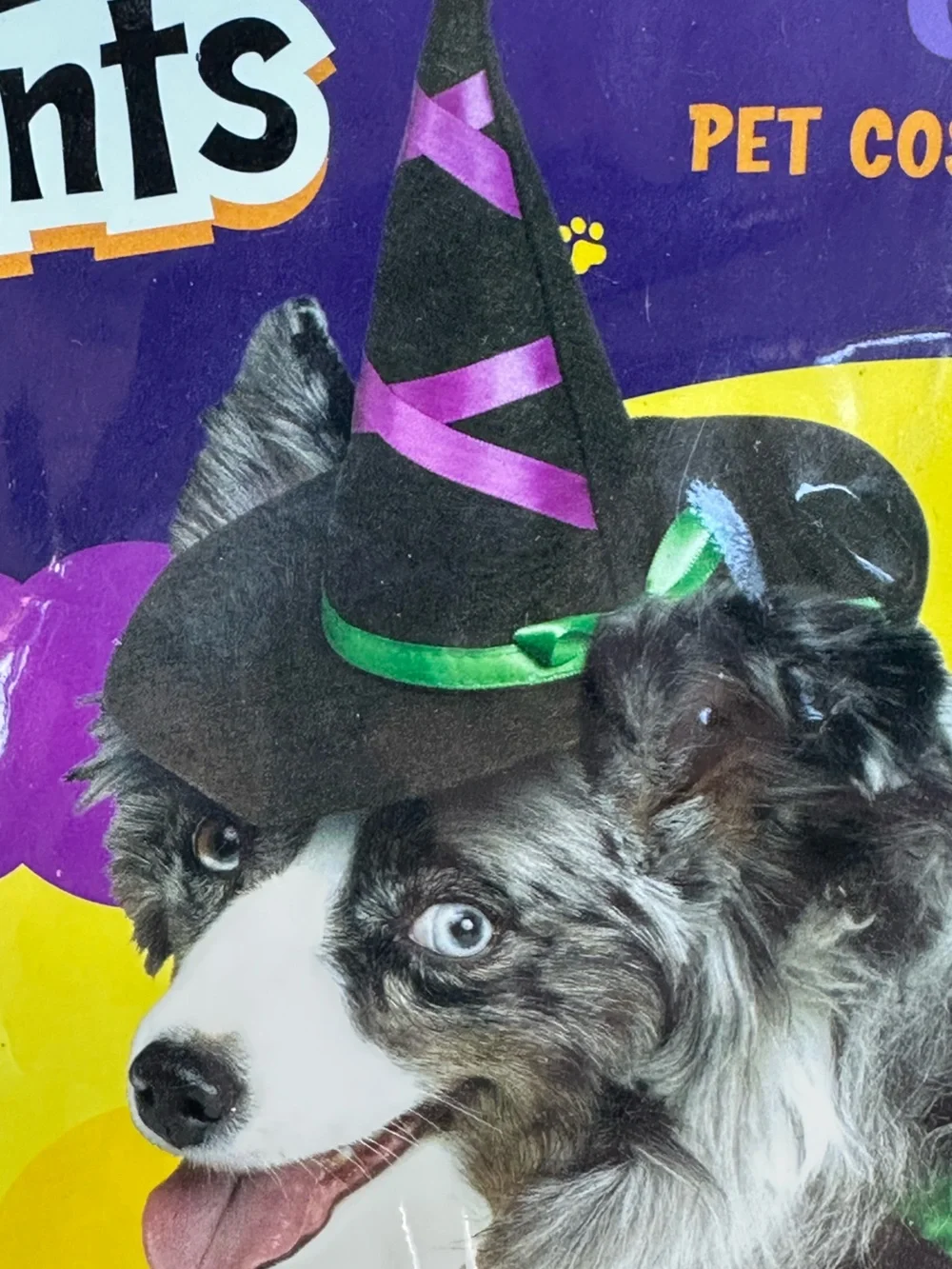 Paw Prints Fun World Doggie Witch Pet Costume Purple Green Dress Hat Size Small